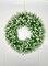 Chiara Artificial Green White Boxwood Decorative Wreath Indoor/Outdoor Use 23''